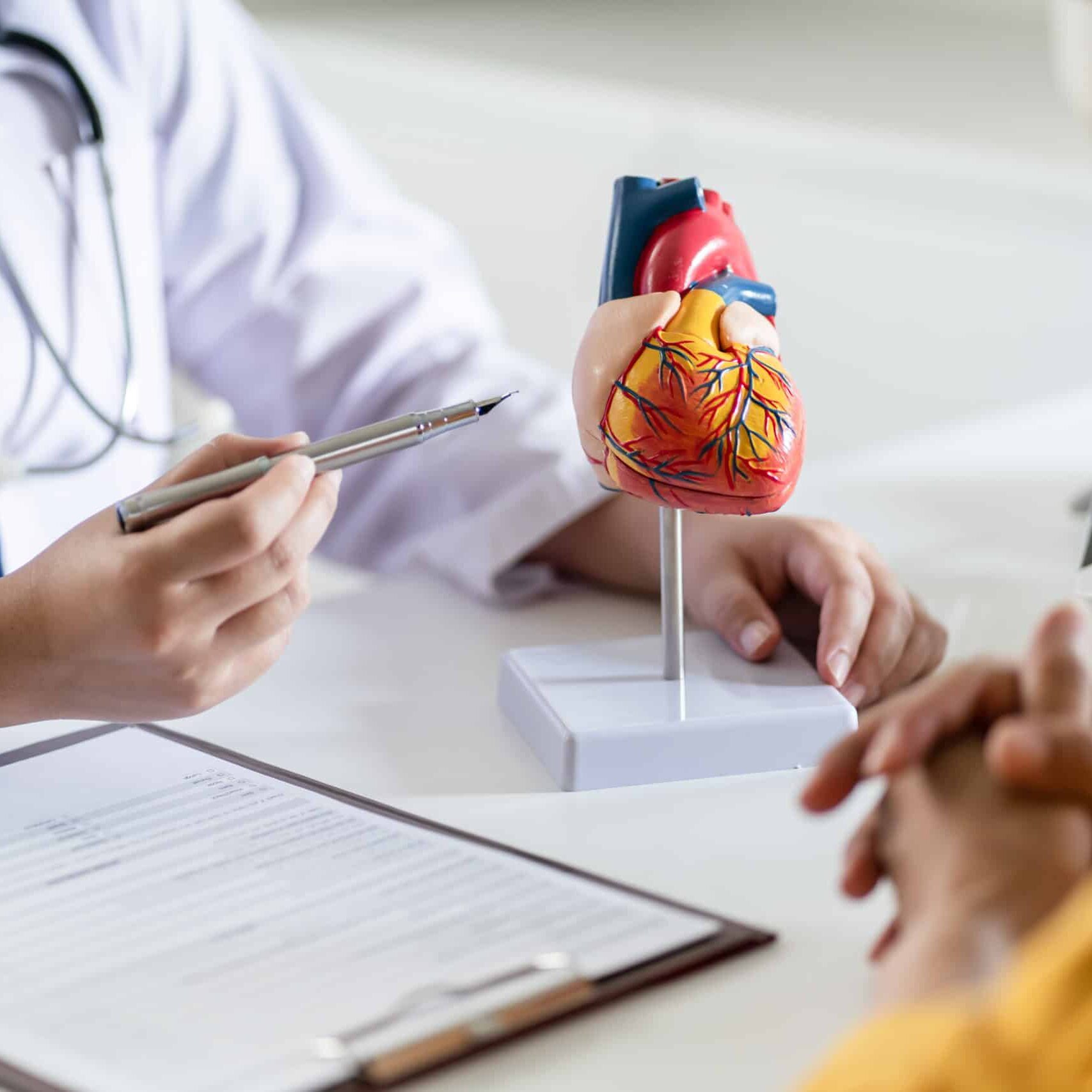 A doctor points to a model of a human heart while discussing information with a patient across a desk. A clipboard with papers and a blood pressure monitor are visible on the table.